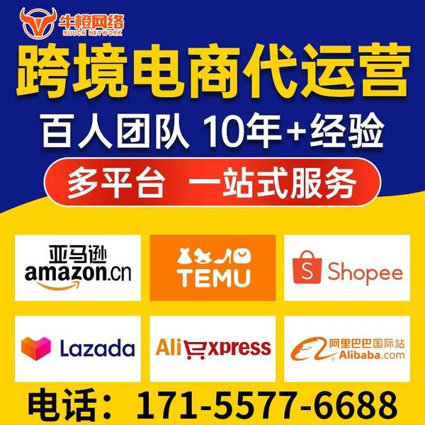 宜昌电商代运营