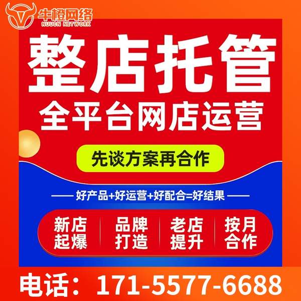 宜昌电商代运营